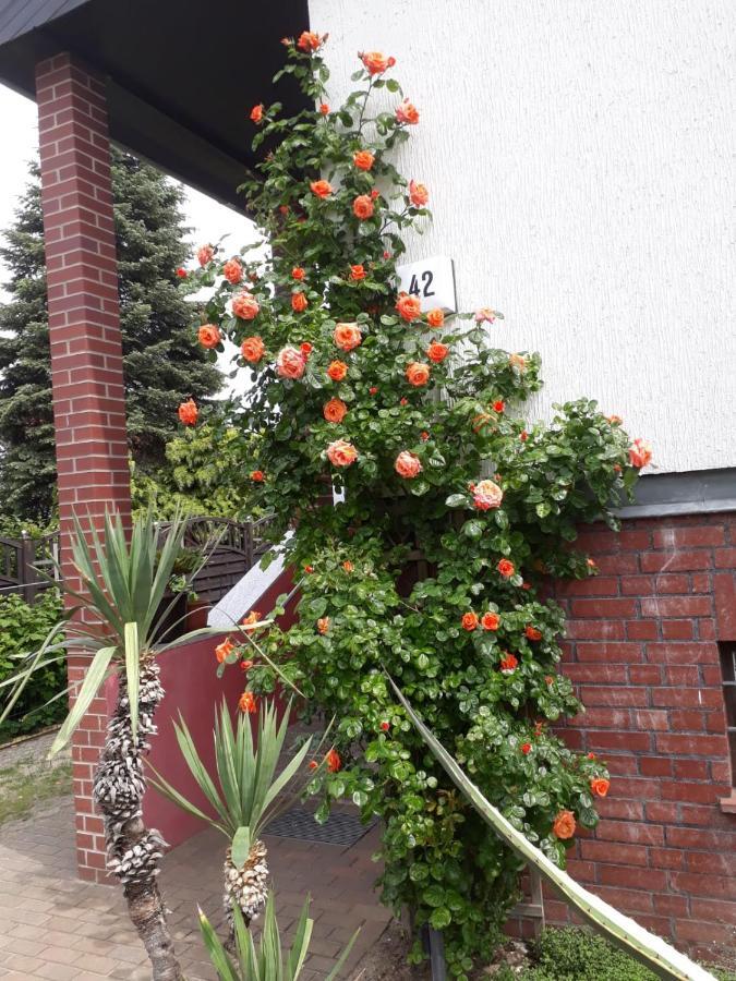 Apartment Besondere Quartier In Pankow