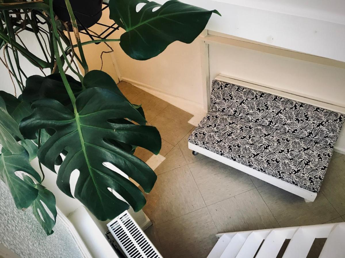 Lekkerurlaub Albergue