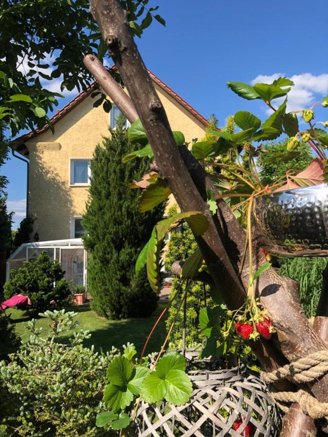 Haus Bielke *