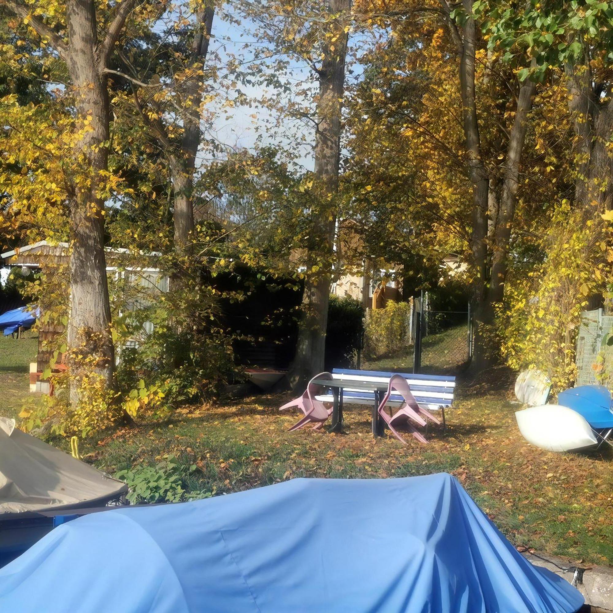 In Mueggelheim Mit Eigener Terrasse Ferienhaus Berlin