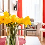 City Studio Apartment For 2, Near Sonnenallee