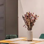Oran Apartment 1