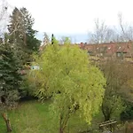 Hortensie