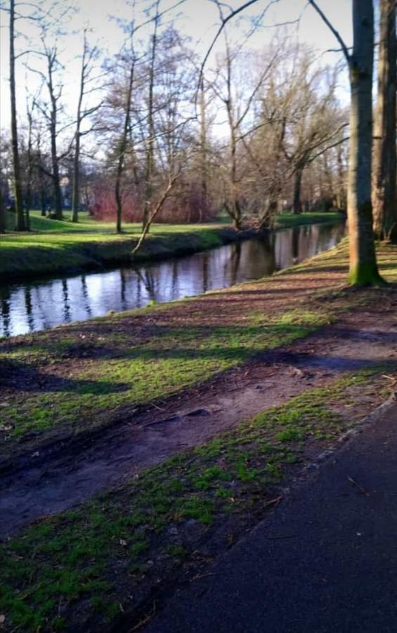 Ruhiges In Pankow Homestay Berlin