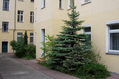 Streuhof 2*