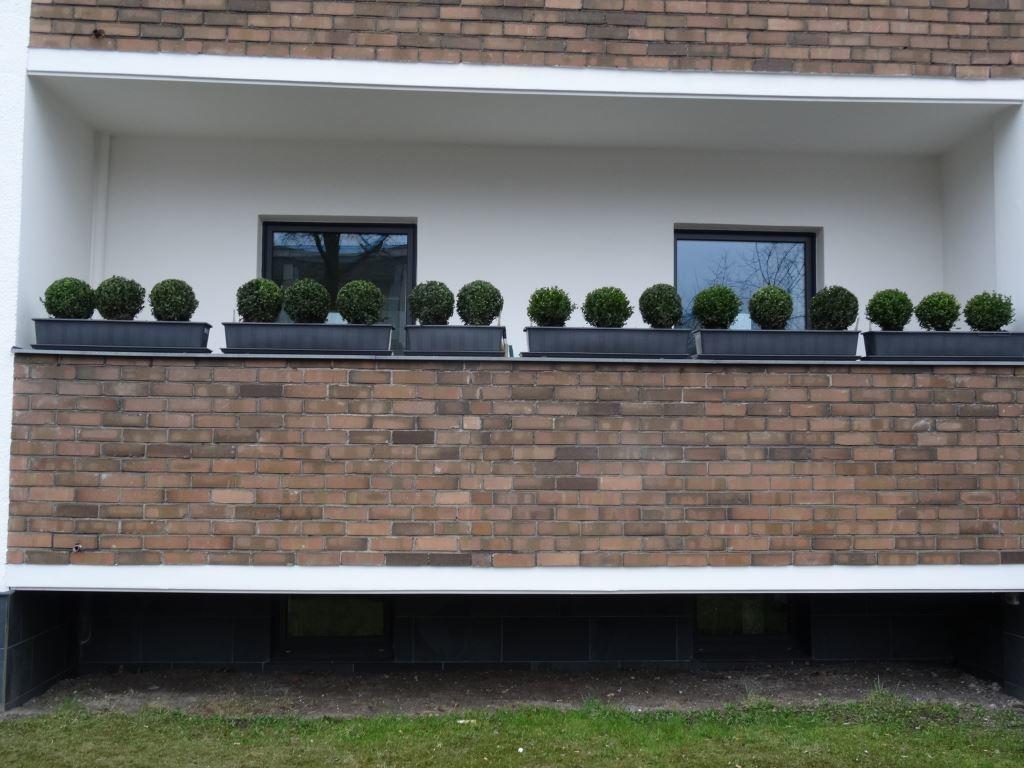 Bananas Hotel And Guesthouse Berlin * Berlim