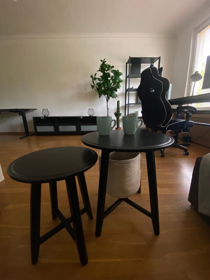Modern Studio In With Garden Near Sea * Berlin