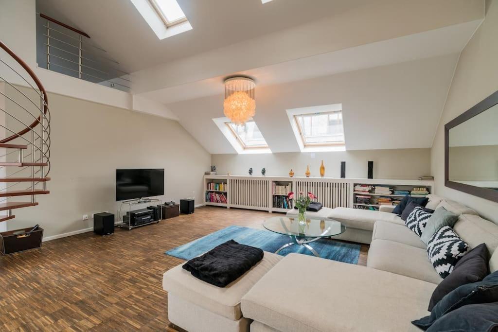 Ruhige Dachwohnung Mit Terrasse Mitte - Spacious Modern Rooftop Loft In Mitte Apartment