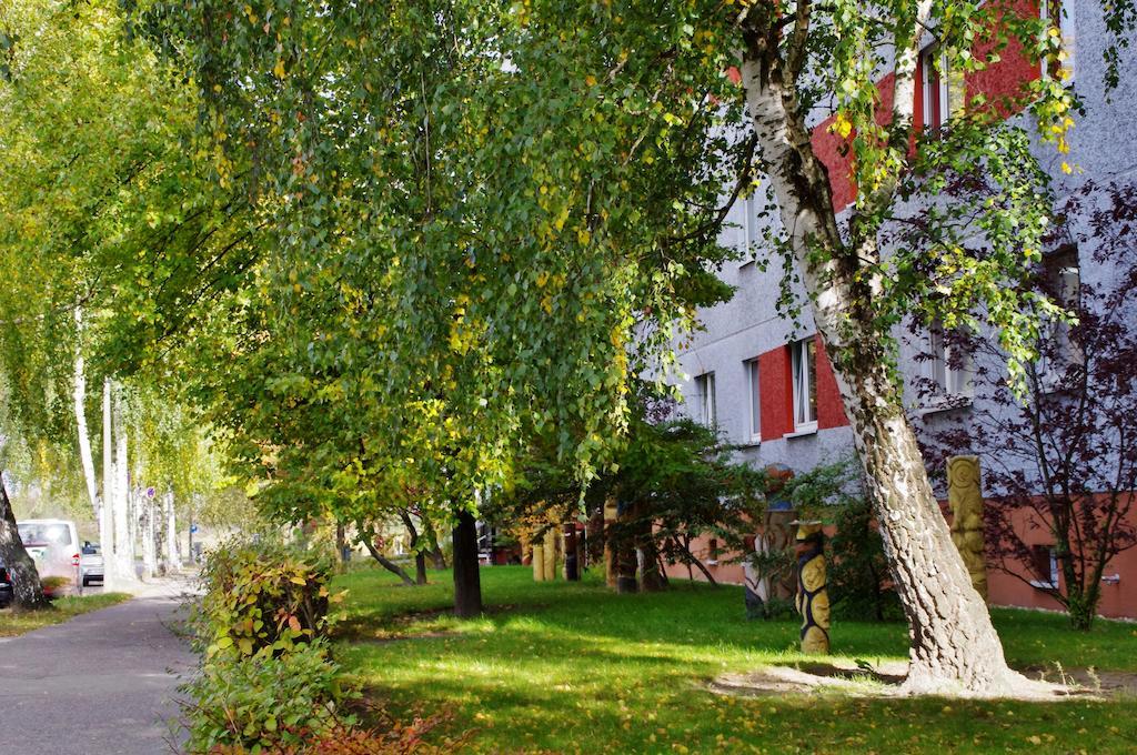 Albergue Pro-social