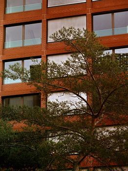 Pfefferbett Potsdamer Platz Hotel 4*