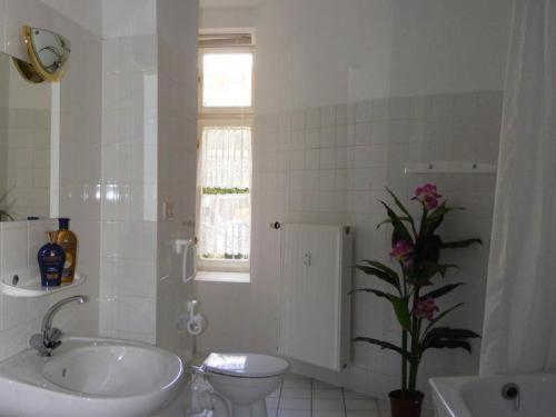 Guest house Regenbogen 2*