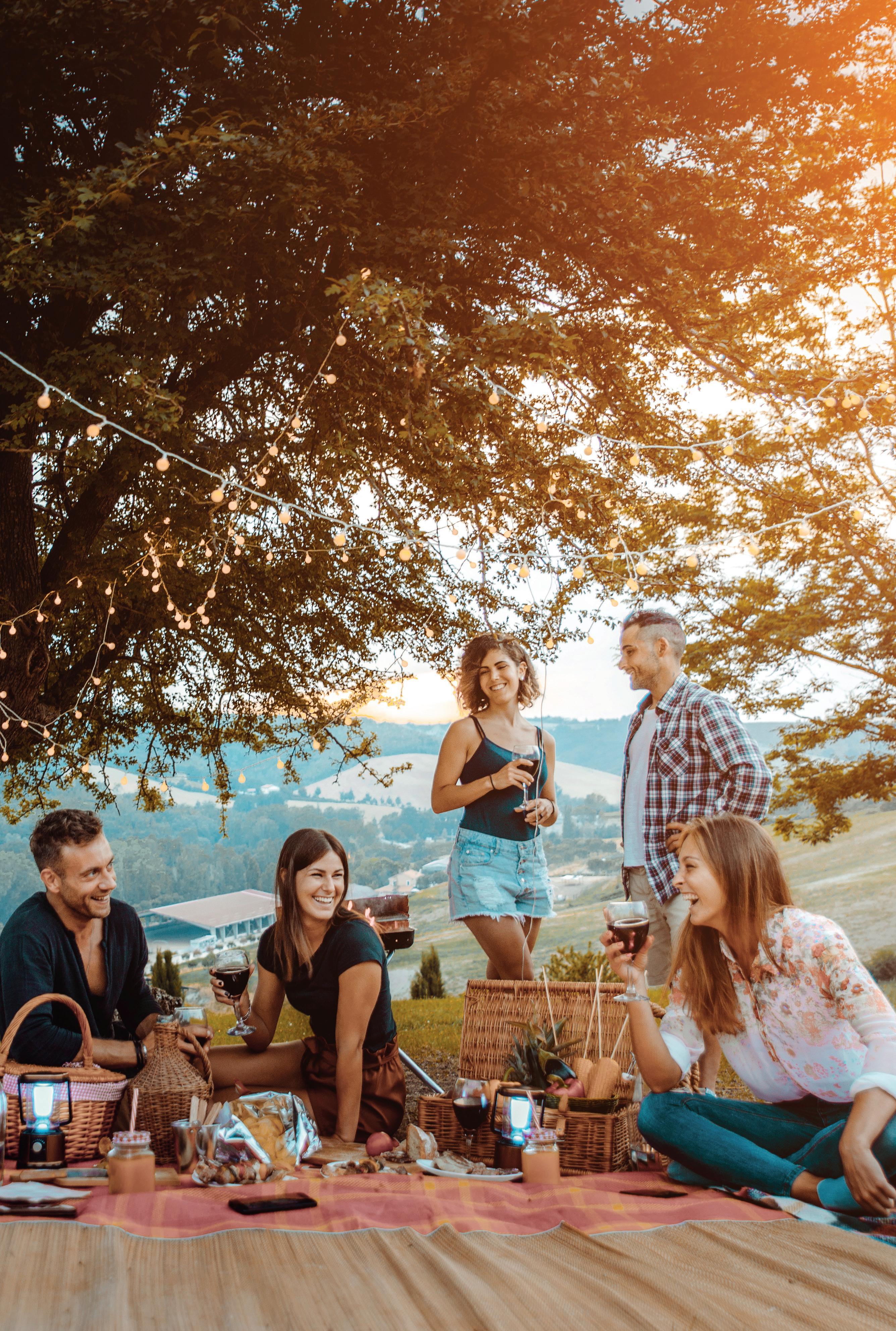 Upgrade Sommer 2023 DACH by tt• consulting+marketing+digital - Issuu